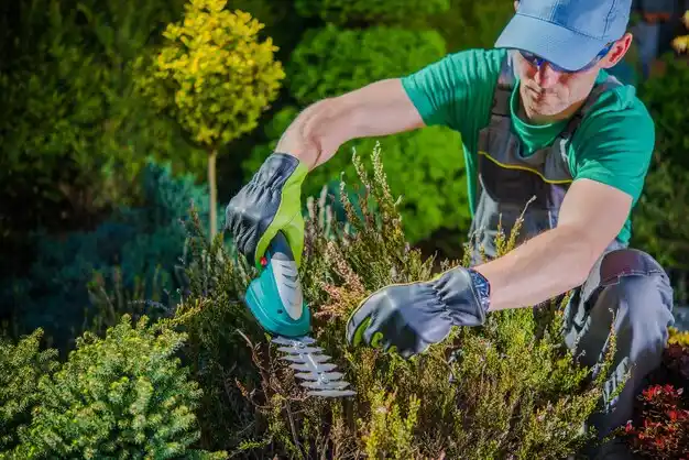 landscaping services East Avon